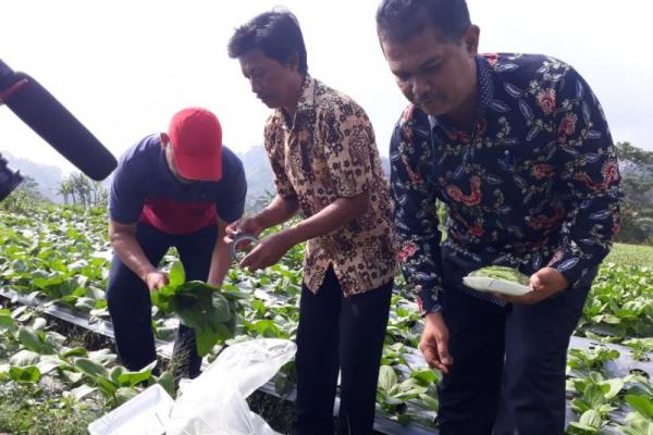 Kementan Pacu Pengembangan Sentra Tanaman Hias di Tawangmangu