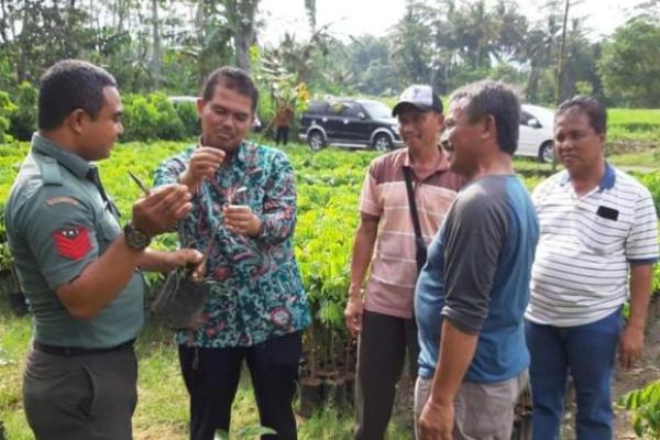 Tingkatkan Produksi, Kementan Dorong Magelang Sentra Pembibitan Sawo Raksasa, Alpukat Kendil dan Kle