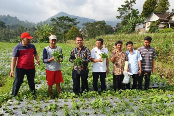 Kementan Genjot Pengembangan Sentra Sayuran Organik di Karanganyar
