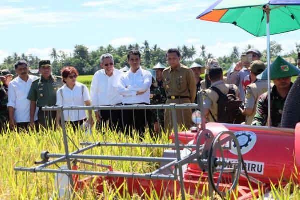 10 Alasan untuk Kita Jangan Remehkan Pertanian