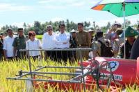 Kepedulian Pemerintah terhadap Petani Lewat Program AUTP