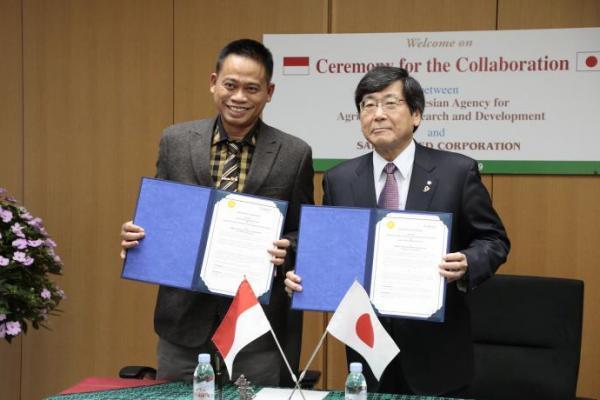 Ekspor Bibit Hibrida Bawang Merah Raup Royalti Rp5 Miliar