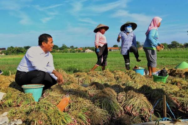 NTP, NTUP Stabil dan Inflasi Menjelang Ramadhan Terkendali
