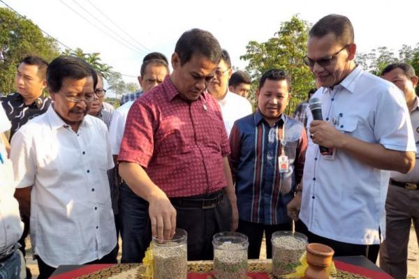 Kementan Tak Ingin Ekspor Pertanian Mampir di Vietnam