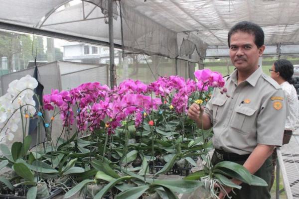 Ekspor Tanaman Hias Mojokerto Tembus 1,7 Juta Batang di Lima Negara