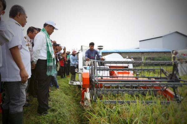 Konawe Ditargetkan Dukung Lumbung Padi Nasional