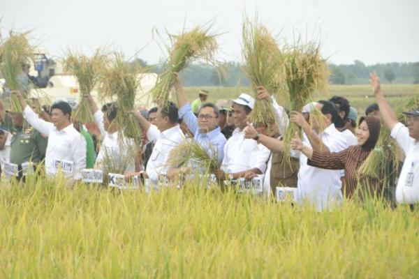 BPK Usulkan Alokasi Dana Riset Pertanian Ditambah