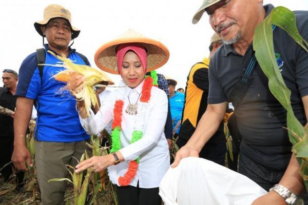Kemendes Serukan Perdamaian Lewat Festival Adat dan Budaya
