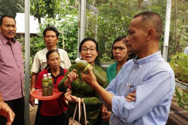 Angkat Pendapatan Rumah Tangga, Kementan Dorong KRPL Berkelanjutan
