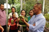 Angkat Pendapatan Rumah Tangga, Kementan Dorong KRPL Berkelanjutan