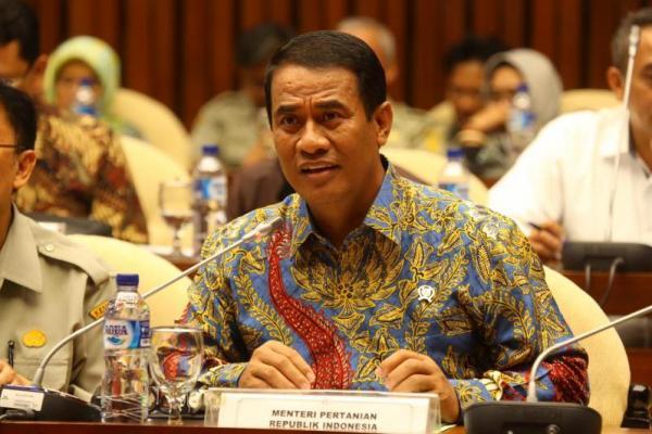 Menteri Pertanian (Mentan) Andi Amran Sulaiman. 