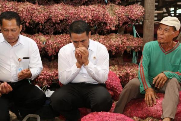 Blacklist 74 Importir Bawang Nakal, Petani Champion: Terima Kasih Pak Amran