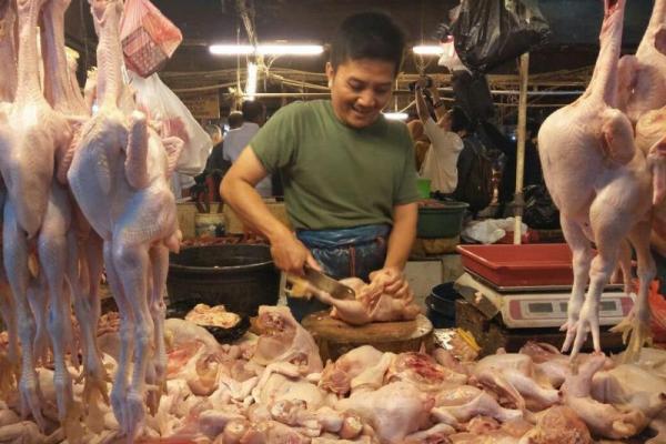 Meski Lezat, Bagian Daging Ayam Ini Tidak Baik Dikonsumsi