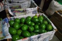 Waduh, Ini 4 Buah yang Bikin Berat Badan Naik