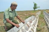 Pengamat: Kementan Jamin Ketersediaan Pangan Bukan Kendalikan Harga