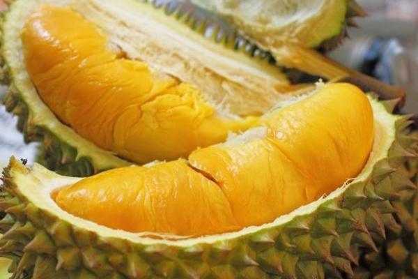 Segini Batasan Aman Konsumsi Durian