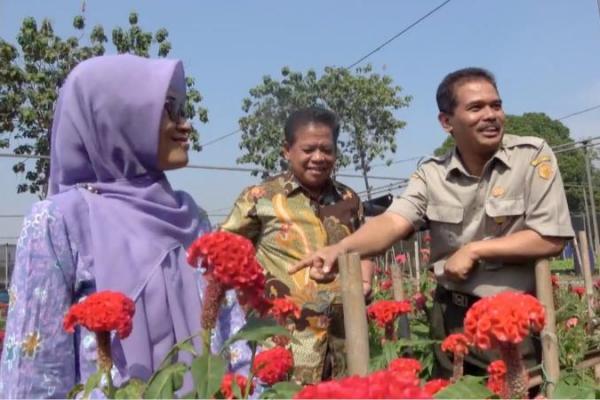 Bogor Raup Puluhan Miliar Ekspor Tanaman Hias ke 10 Negara