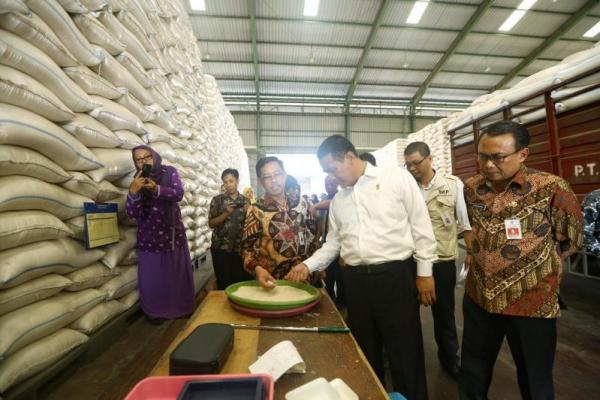 Pengamat: Ekspor Melesat, Indonesia Menuju Kemandirian Pangan