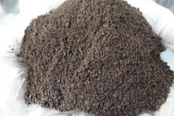 Siapa Sangka, Limbah Biji Kapuk Jateng Laris di Pasar Internasional