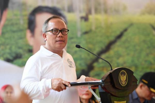 Kementan Terapkan Lima Strategi Dorong Daya Saing Perkebunan Indonesia
