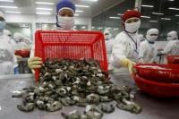 China Larang Impor Udang dari Arab Saudi dan Beri Akses Iran