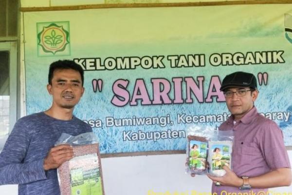 Trend Budidaya Organik Meningkat, Keuntungan Petani Berlipat