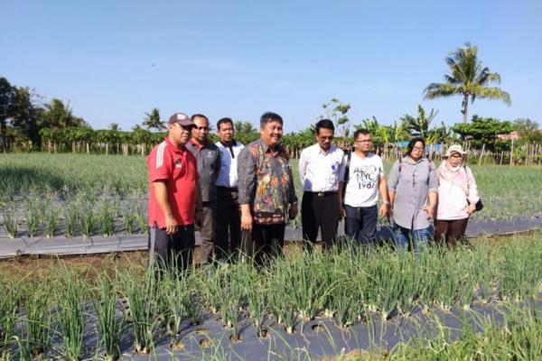 Kementan Kawal Ibu Kota Baru Mandiri Buah dan Sayur