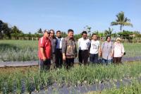 Kementan Kawal Ibu Kota Baru Mandiri Buah dan Sayur