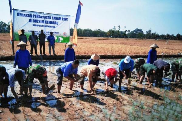 Kementan Mitigasi Kekeringan di Karanganyar