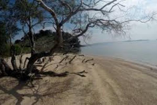  Pemerintah Bangun RS Virus Menular di Pulau Tak Berpenghuni