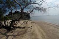  Pemerintah Bangun RS Virus Menular di Pulau Tak Berpenghuni