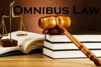  Pengamat Sebut Kesalahan Ketik Omnibus  Law Masuk Kategori Kecelakaan Akademik