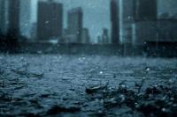   Hujan Deras, Banjir Sempat Sentuh Istana