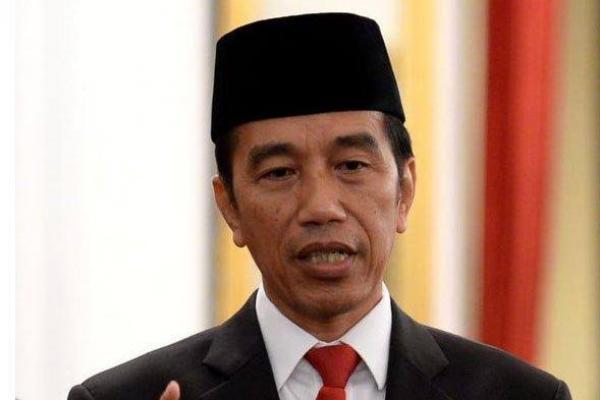 Ditanya Hasil Tes Corona, Ini Jawaban Jokowi