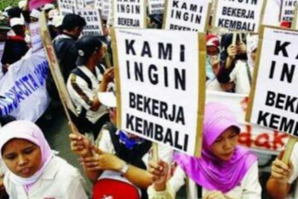  Pendataan Korban PHK Covid-19 Sudah Dimulai