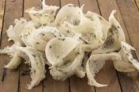 Ekspor Sarang Burung Walet Tetap Naik Walau di Tengah Pandemi Covid-19