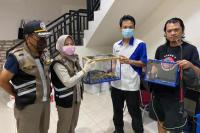 Karantina Pertanian di Sejumlah Daerah Gagalkan Penyelundupan Satwa