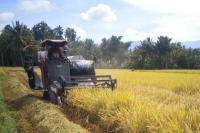 Distan Provinsi Banten Perkirakan Sampai Oktober Panen Raya Surplus 160.132 Ton