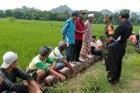 Amankan Produksi Padi, Petani Tapanuli Tengah Lakukan Pengendalian Kepinding Tanah