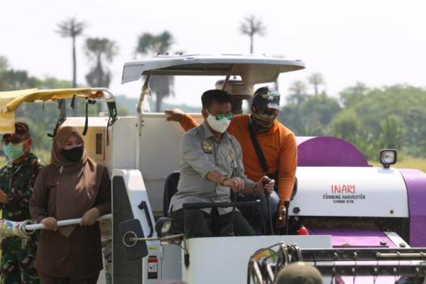 Jajal Langsung Combine Harvester, Mentan Gelar Panen Raya di Kabupaten Pandeglang