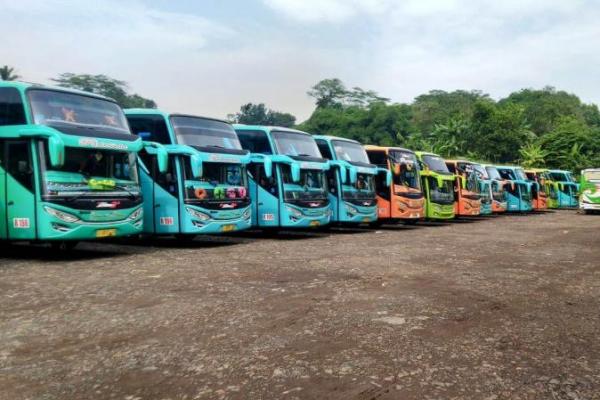  Penumpang Rontok, Ini Relaksasi  Kredit untuk Perusahaan Bus