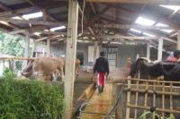 Kementan Beri Bantuan UPPO untuk Petani Gunung Kidul