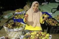 Buah dan Sayur hasil Petani Kaki Gunung Rinjani Diincar Dunia