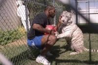 Mike Tyson Siap Bertarung Lagi