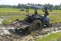 Pemerintah Kerahkan Ribuan Traktor Garap 11.000 Hektare Sawah