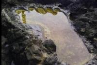 Imam Bukhori: “Allah Menciptakan Adam dengan Tinggi 60 hasta. 