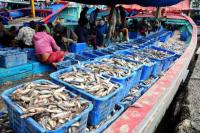 New Normal Diyakini Mampu Dongkrak Ekspor Ikan