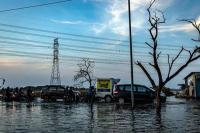   Sepanjang Pantai Utara Jawa Terendam Banjir Rob