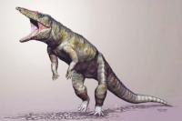 Ditemukan Jejak Buaya Purba Berjalan dengan Dua Kaki