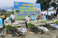Ancaman Kekeringan, Papua Barat Canangkan Percepatan Tanam Padi